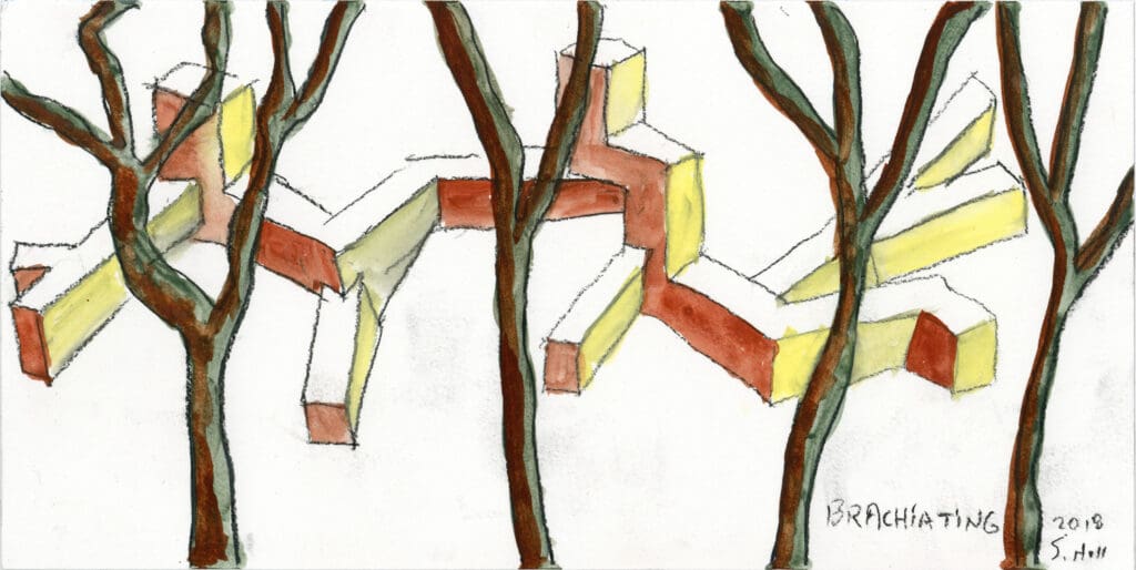 20180729_Architectural Archive and Research Library (c) Steven Holl