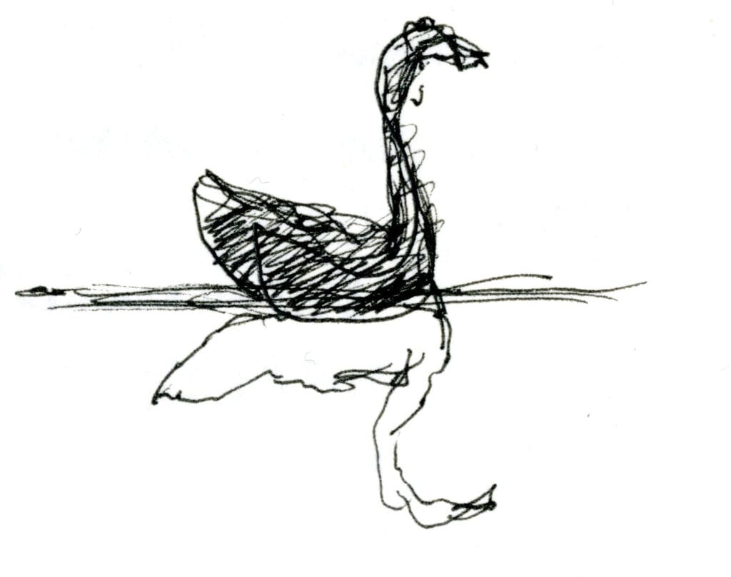 1996-black-swan
