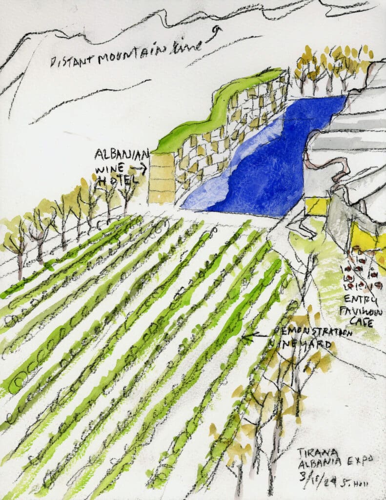 20240315_EXPO-Albania_Vineyard